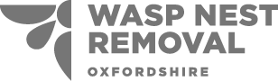 Wasp Nest Removal Oxfordshire